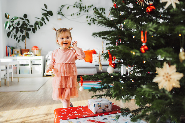 포토 JPG 해외이미지 나무 백인 모자 전통 커플 딸 행복 별 어린이 크리스마스 통신 가족 엄마 남편 휴가 전등 새해 아파트 주택 실내 3 선물 한명 사람 앉기 내부 장식 뷰티 축제 기쁨 축하 잡기 아내 분위기 아빠 정상 어깨 주기 넣기 크리스마스이브 해외202309 해외포토 자연요소 서양인 식물 1 잡화 기념일 감정 컨셉 관계 모션 조명 건물 신체부위 파일형식
