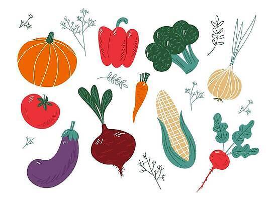 EPS 해외이미지 잎 토마토 일러스트 식재료 호박 가지 양파 파프리카 옥수수 사람없음 당근 브로콜리 유기농 비트 적환무 해외202309 해외일러스트 식물 웰빙 채소 곡류 뿌리채소 무 파일형식 벡터
