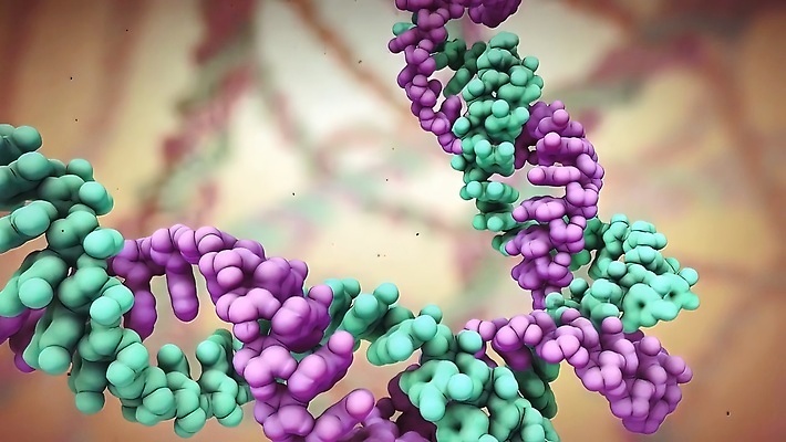 포토 JPG 해외이미지 종이 줄기 과학 백그라운드 일러스트 해부 가족 추상 세포 나선형 건강 사람없음 약 3D 카메라 수확 암호 질병 DNA 생명공학 만화 복고 생물학 원자 염색체 공식 그런지 바이오 복제 유전 해외202309 해외일러스트 식물 교육 무늬 농업 의학 관계 전자제품 디지털합성 파일형식