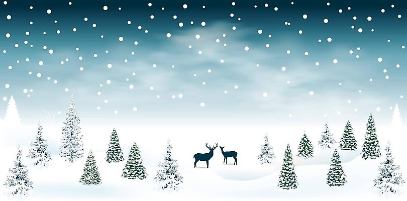 EPS 해외이미지 나무 식물 동물 구름 계절 컬러 백그라운드 크리스마스 겨울 일러스트 자연 하늘 아침 날씨 휴가 사슴 새로움 풍경 이벤트 야외 파란색 추위 흰색 축하 인사 눈송이 야간 숲 12월 연도 엽서 전나무 눈보라 순록 크리스마스이브 폭설 눈내림 가문비나무 벡터 해외202309 해외일러스트 주간 자연요소 기념일 컨셉 포유류 눈_날씨 예절 날짜 자연재해 편지 생태계 파일형식