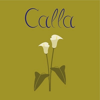 EPS 해외이미지 식물 꽃 꽃다발 잎 꽃무늬 일러스트 자연 선물 정원 봄 신선 플랫 원예 칼라꽃 해외202309 해외일러스트 계절 무늬 취미 생태계 파일형식 벡터