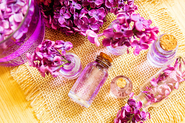 포토 JPG 해외이미지 분홍색 사람없음 아웃포커스 하이앵글 보라색 오일 아로마테라피 내추럴 에센스 해외202309 해외포토 음식 뷰포인트 컬러 촬영기법 화장품 테라피 파일형식