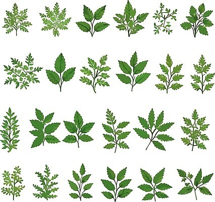 EPS 해외이미지 나무 식물 템플릿 디자인 배너 꽃 포스터 선 여행 결혼 백그라운드 잎 꽃무늬 일러스트 자연 프레임 야외 장식 초록색 유행 우주 정원 봄 인사 신용카드 플랫 냄비 숲 인쇄 만화 초대 내추럴 고립 구성 엘리먼트 벡터 해외202309 해외일러스트 계절 컬러 무늬 이벤트 금융 예절 솥 생태계 파일형식