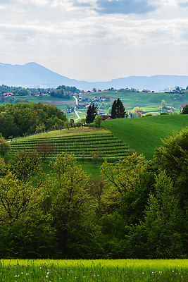 포토 JPG 해외이미지 나무 구름 계절 여행 밭 자연 하늘 아침 날씨 산 안테나 파노라마 풍경 사람없음 야외 초록색 여름 파란색 뷰티 환경 계곡 봄 시골 숲 언덕 알프스 장면 내추럴 슬로베니아 절정 조감도 그리너리 해외202309 해외포토 주간 자연요소 식물 유럽 컬러 농업 통신 촬영기법 생태계 파일형식 트랜드컬러