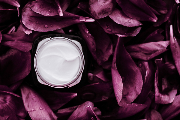 포토 JPG 해외이미지 꽃잎 사람없음 하이앵글 고급 자주색 피부관리 스킨케어 기초화장품 수분크림 해외202309 해외포토 꽃 뷰포인트 컬러 컨셉 뷰티 화장품 파일형식