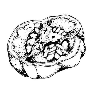EPS 해외이미지 식물 손 디자인 실루엣 음식 조각 백그라운드 채소 과일 일러스트 재료 자연 파프리카 흑백 건강 요리 미술 그래픽 수확 종 흰색 신선 뜨거움 만화 스케치 자르기 심볼 향신료 오브젝트 흰배경 그림 유기농 매움 복고 손그림 후추 내추럴 고립 그런지 숙성 할라피뇨 벡터 비건 해외202309 해외일러스트 웰빙 컬러 농업 모션 고추 문화예술 촬영기법 신체부위 맛 생태계 채식주의자 향미료 파일형식