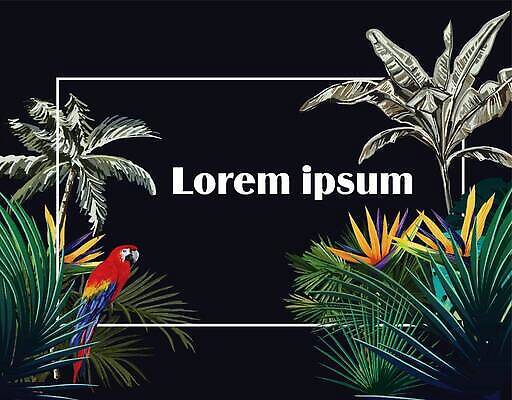 EPS 해외이미지 나무 식물 동물 디자인 꽃 실루엣 야생동물 모래 바다 줄기 분홍색 컬러 백그라운드 잎 패턴 날개 일러스트 자연 조류 추상 손바닥 미술 그래픽 장식 빨간색 초록색 여름 파란색 컬러풀 뷰티 노란색 파티 검은색 봄 수확 벚꽃 흰색 인쇄 하와이 부리 앵무새 고립 이국적 하와이인 벡터 해외202309 해외일러스트 외국인 손 계절 무늬 농업 문화예술 촬영기법 이벤트 미국 생태계 파일형식