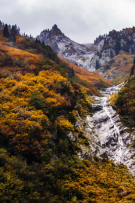 포토 JPG 해외이미지 나무 공원 여행 잎 자연 휴가 산 사람없음 야외 초록색 물 관광지 강 환경 계곡 폭포 안개 개울 떨어짐 숲 신비 열대우림 자연백그라운드 장노출 칠면조 내추럴 뿌연 삼림지대 해외202309 해외포토 자연요소 식물 공공시설 컬러 백그라운드 컨셉 조류 날씨 촬영기법 생태계 파일형식