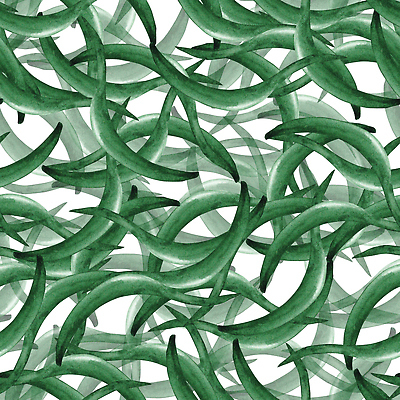 포토 JPG 해외이미지 클립아트 식물 디자인 꽃 포스터 꽃다발 결혼 잎 꽃무늬 패턴 일러스트 자연 벽지 추상 수채화 미술 사람없음 그래픽 장식 세트 벚꽃 직물 신용카드 생일 인쇄 만화 스케치 수집 배열 그림 유기농 질감 엽서 손그림 고립 구성 엘리먼트 스타일 해외202309 해외일러스트 웰빙 기념일 무늬 문화예술 이벤트 금융 편지 생태계 파일형식