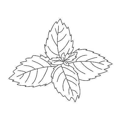 EPS 해외이미지 나무 식물 꽃 음식 컬러 백그라운드 잎 꽃무늬 패턴 일러스트 재료 자연 추상 건강 미술 초록색 물 약 봄 흰색 신선 양념 닫기 민트 허브 심볼 향신료 오브젝트 유기농 날것 향기 아로마 내추럴 고립 벡터 해외202309 해외일러스트 자연요소 웰빙 계절 무늬 의학 모션 문화예술 생태계 냄새 향미료 파일형식