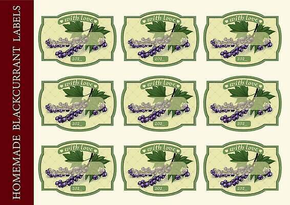 EPS 해외이미지 일러스트 사람없음 초록색 세트 라벨 빈티지 블랙커런트 커런트 핸드메이드 해외202309 해외일러스트 열매 컬러 컨셉 프레임 파일형식 벡터