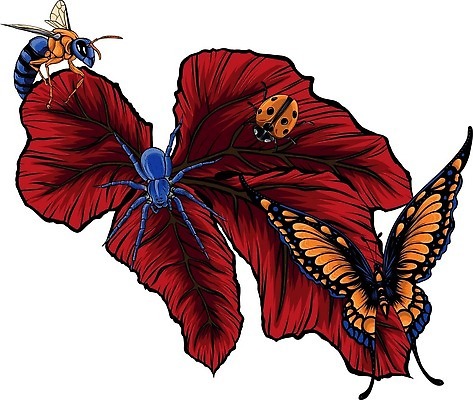 EPS 해외이미지 나무 동물 캐릭터 디자인 꽃 나비 곤충 백그라운드 잎 일러스트 자연 조류 주택 미술 미소 그래픽 빨간색 봄 흰색 나뭇가지 점 플랫 벌레 작음 만화 딱정벌레 심볼 싱글 그림 순환 클립 무당벌레 애벌레 내추럴 고립 동물상 벡터 해외202309 해외일러스트 일러캐릭터 식물 계절 컬러 모션 문화예술 표정 건물 조형물 크기 생태계 파일형식