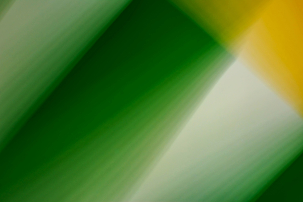 포토 JPG 해외이미지 모양 디자인 배너 종이 선 컬러 백그라운드 패턴 일러스트 벽지 표면 추상 미술 경사 사람없음 그래픽 장식 초록색 빛 컬러풀 뷰티 노란색 유행 우주 웹 어둠 페인트 줄무늬 공백 덮개 흰색 신용카드 거친 그림 질감 역동적 캔버스 부드러움 공상 골절 엘리먼트 강조 국경 효과 비어있는 해외202309 해외일러스트 컨셉 무늬 인터넷 의학 문화예술 금융 뚜껑 감각 파일형식