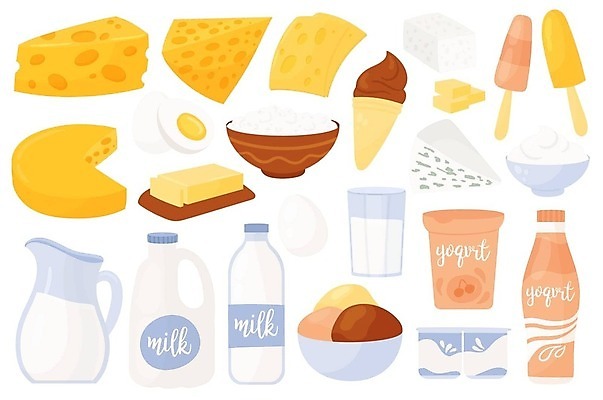 EPS 해외이미지 그릇 음식 일러스트 아이스크림 치즈 유제품 종류 사람없음 계란 다양 우유 밀가루 버터 요거트 해외202309 해외일러스트 식기 다수 디저트 알 가루 파일형식 벡터