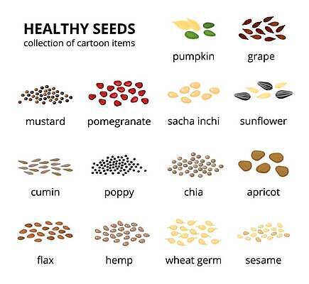 EPS 해외이미지 식물 음식 농업 다이어트 일러스트 호박 포도 해바라기 건조 건강 씨앗 농작물 검은색 수확 껍질 흰색 이름 삼 그룹 플랫 낟알 만화 시리얼 굽기 먹기 머스터드 묘사 유기농 깨 양귀비 석류 고립 고체 밭일 살구 아마 채식주의자 벡터 슈퍼푸드 비건 해외202309 해외일러스트 웰빙 꽃 산업 컬러 채소 과일 식재료 모션 조미료 소스_음식 구이 채식 건강식품 파일형식