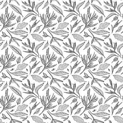 EPS 해외이미지 나무 식물 디자인 꽃 선 백그라운드 잎 꽃무늬 패턴 일러스트 자연 벽지 추상 흑백 손바닥 미술 장식 초록색 여름 유행 검은색 흰색 숲 인쇄 만화 그림 질감 하와이 내추럴 엘리먼트 이국적 벡터 해외202309 해외일러스트 손 계절 컬러 무늬 문화예술 촬영기법 미국 생태계 파일형식