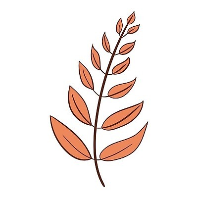 EPS 해외이미지 식물 디자인 계절 실루엣 단풍 잎 꽃무늬 일러스트 자연 미술 초록색 라벨 정원 봄 흰색 나뭇가지 낙서 9월 11월 만화 스케치 허브 심볼 그림 유기농 원예 윤곽 손그림 10월 내추럴 고립 생태학 엘리먼트 벡터 미니멀 해외202309 해외일러스트 나무 웰빙 교육 꽃 컬러 무늬 문화예술 프레임 촬영기법 취미 날짜 생태계 파일형식