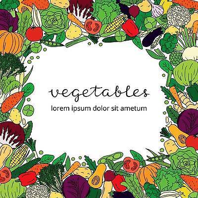 EPS 해외이미지 토마토 일러스트 호박 피망 감자 파프리카 프레임 옥수수 사람없음 당근 양상추 브로콜리 테두리 완두콩 고구마 청경채 파 샐러리 적양배추 컬리플라워 해외202309 해외일러스트 채소 콩 곡류 뿌리채소 양배추 파일형식 벡터
