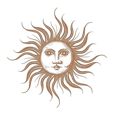 EPS 해외이미지 손 디자인 알파벳 포스터 일러스트 캘리그라피 텍스트 잉크 미술 타이포그라피 그래픽 장식 세트 검은색 수확 붓 그리기 스케치 편지 수집 심볼 사인 타입 고립 대본 표제 레터링 스타일 벡터 해외202309 해외일러스트 문자 영어 컬러 농업 모션 문화예술 신체부위 파일형식