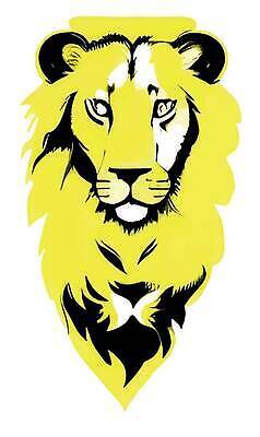 EPS 해외이미지 동물 응시 남자 얼굴 야생동물 백그라운드 일러스트 포유류 아프리카 자연 생물 수염 털 동물원 야외 뷰티 갈색 머리 검은색 고양이 어둠 힘 흰색 황무지 닫기 위험 사자 큼 왕 사파리 육식동물 갈기 사냥꾼 사자자리 표범 남쪽 고립 웅장함 해외202309 해외일러스트 직업 시선 나라 컬러 컨셉 모션 사람 신체부위 반려동물 별자리 크기 방향 생태계 파일형식 벡터