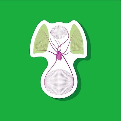 EPS 해외이미지 종이 과학 스티커 신체 일러스트 해부 건강 사람 약 오르간 맥박 생물학 순환 시스템 동맥 정맥 심장병 스타일 심혈관 해외202309 해외일러스트 교육 의학 모션 건반악기 질병 혈관 파일형식 벡터