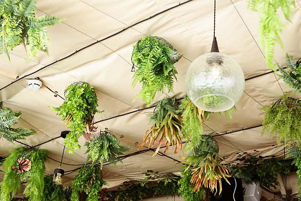 포토 JPG 해외이미지 식물 웰빙 디자인 꽃 컨셉 잎 자연 주택 실내 매달리기 건강 종류 사람없음 내부 장식 초록색 정원 카페 방 성장 신선 도시 천장 에코 유기농 원예 조경 유지 온실 이국적 그리너리 해외202309 해외포토 컬러 모션 취미 건물 환경 상점 생태계 파일형식 트랜드컬러