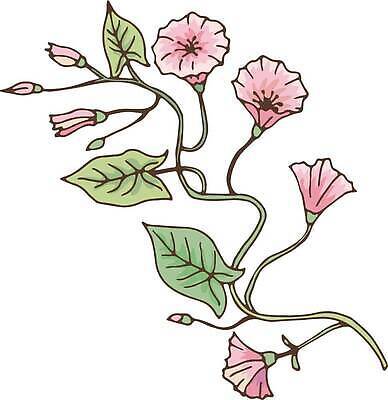 EPS 해외이미지 식물 디자인 꽃 야생동물 줄기 결혼 백그라운드 잎 꽃무늬 일러스트 자연 추상 건강 그래픽 장식 초록색 뷰티 정원 수확 벚꽃 흰색 나뭇가지 신선 화려 인쇄 스케치 허브 그림 생물학 포도나무 내추럴 해외202309 해외일러스트 나무 동물 교육 컬러 컨셉 무늬 농업 미술 이벤트 과일나무 생태계 파일형식 벡터