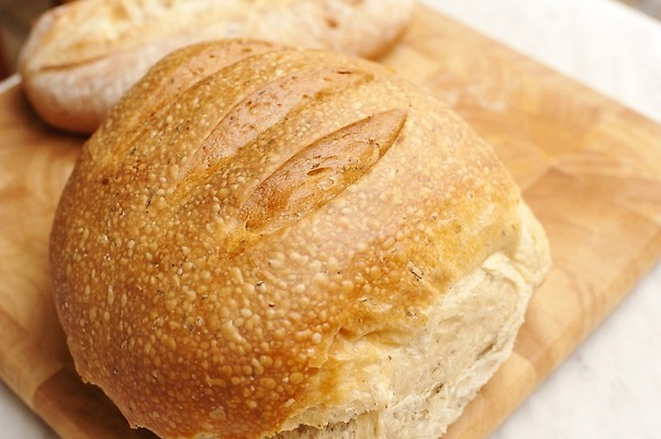 포토 JPG 해외이미지 음식 빵 종류 사람없음 껍질 흰색 원형 굽기 해외202309 해외포토 도형 컬러 구이 파일형식