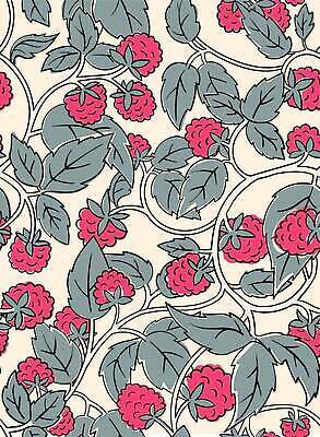 EPS 해외이미지 열매 선 음식 패턴 일러스트 장식 빨간색 초록색 검은색 회색 수확 화려 플랫 달콤 맛 만화 흰배경 윤곽 산딸기 색칠공부 스타일 맛있는 해외202309 해외일러스트 식물 컬러 백그라운드 컨셉 무늬 농업 과일 학습 흰색 색칠 파일형식 벡터