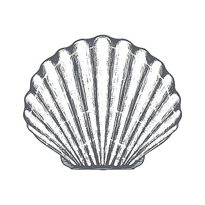 EPS 해외이미지 동물 손 디자인 실루엣 포스터 선 바다 백그라운드 일러스트 자연 조개 연체동물 미술 해변 그래픽 장식 식당 수확 껍질 굴 인쇄 스케치 심볼 해산물 메뉴 그림 복고 손그림 가리비 고립 벡터 해외202309 해외일러스트 농업 문화예술 어패류 무척추동물 촬영기법 신체부위 상점 생태계 파일형식