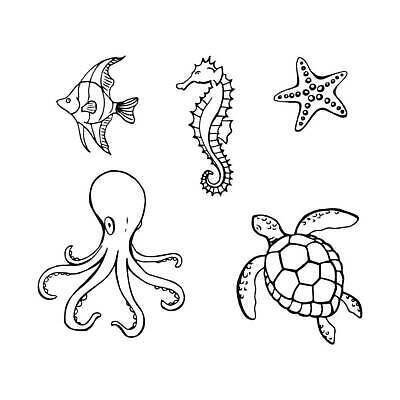 EPS 해외이미지 동물 손 디자인 야생동물 바다 여행 백그라운드 컨셉 요트 일러스트 자연 조개 불가사리 생물 항해 어류 미술 그래픽 물 세트 수중 수확 소라 낙서 크루즈 스케치 수집 심볼 오브젝트 그림 윤곽 손그림 문어 해마 고립 엘리먼트 벡터 해외202309 해외일러스트 자연요소 농업 배_교통 문화예술 어패류 극피동물 연체동물 신체부위 바다동물 수중동물 생태계 파일형식