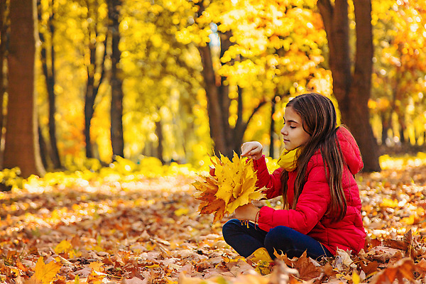 포토 JPG 해외이미지 배너 계절 공원 딸 행복 어린이 여행 백그라운드 단풍 잎 오렌지 가족 자연 놀이 휴가 사랑 한명 사람 소년 야외 뷰티 노란색 목도리 기쁨 시간 황금 숲 10월 걸음마 카피스페이스 해외202309 해외포토 식물 1 잡화 공공시설 남자 감정 컬러 과일 관계 모션 공백 날짜 생태계 파일형식