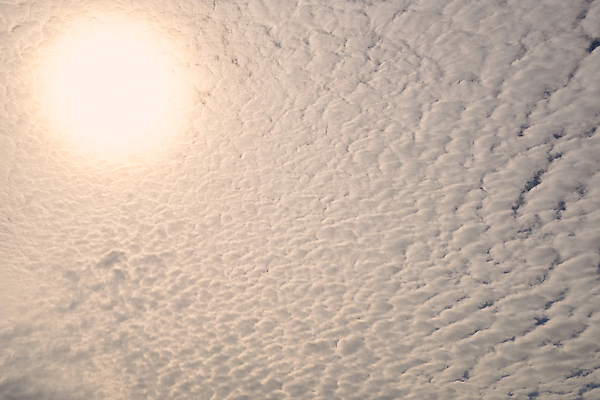 포토 JPG 해외이미지 계절 컬러 백그라운드 자연 하늘 미래 사람없음 야외 세로 파란색 빛 컬러풀 햇빛 태양 뷰티 우주 환경 맑음 자유 흰색 오픈 분위기 장면 천국 내추럴 가능 카피스페이스 해외202309 해외포토 자연요소 컨셉 날씨 공백 생태계 파일형식