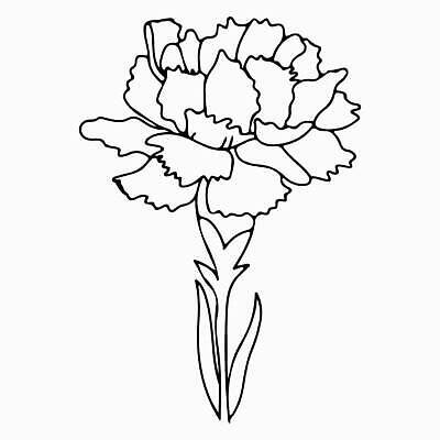 EPS 해외이미지 클립아트 식물 디자인 꽃잎 꽃 실루엣 선 꽃다발 잎 꽃무늬 패턴 일러스트 자연 미술 그래픽 장식 세트 뷰티 정원 검은색 봄 수확 벚꽃 흰색 인사 신용카드 화려 낙서 스케치 수집 문신 심볼 카네이션 그림 윤곽 초대 고립 엘리먼트 벡터 어머니의날 해외202309 해외일러스트 계절 기념일 컬러 컨셉 무늬 농업 문화예술 촬영기법 금융 예절 생태계 미국문화 파일형식