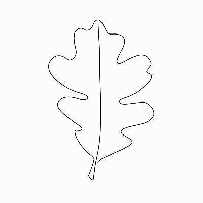 EPS 해외이미지 나무 식물 손 디자인 배너 계절 실루엣 종이 컬러 백그라운드 단풍 잎 캐나다 겨울 꽃무늬 패턴 오렌지 일러스트 비즈니스 학교 자연 추상 프레임 사랑 미술 그래픽 장식 빨간색 물 여름 태양 유행 봄 가을 흰색 심볼 질감 10월 내추럴 고립 그런지 엘리먼트 벡터 국경 해외202309 해외일러스트 자연요소 교육 꽃 감정 북아메리카 무늬 과일 문화예술 촬영기법 신체부위 날짜 생태계 파일형식