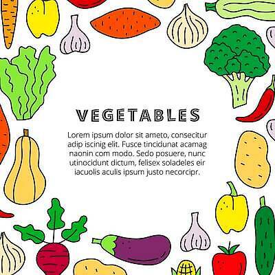 EPS 해외이미지 토마토 일러스트 고추 가지 양파 오이 감자 파프리카 프레임 마늘 옥수수 사람없음 원형 양상추 브로콜리 테두리 고구마 비트 해외202309 해외일러스트 도형 채소 곡류 뿌리채소 파일형식 벡터