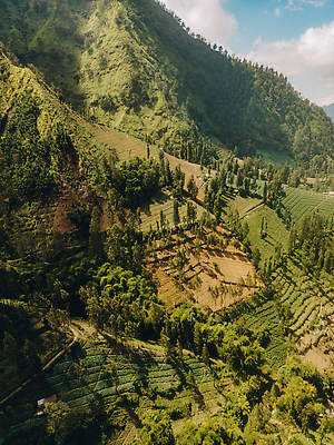 포토 JPG 해외이미지 나무 계절 여행 밭 농업 자연 하늘 휴가 산 파노라마 사람없음 야외 초록색 햇빛 농장 농경지 환경 계곡 일몰 봄 하이킹 안개 시골 숲 큼 언덕 즐거움 내추럴 밭일 뿌연 웅장함 환상 수평선 그리너리 해외202309 해외포토 식물 감정 산업 컬러 컨셉 레저 날씨 촬영기법 태양 노을 크기 생태계 파일형식 트랜드컬러