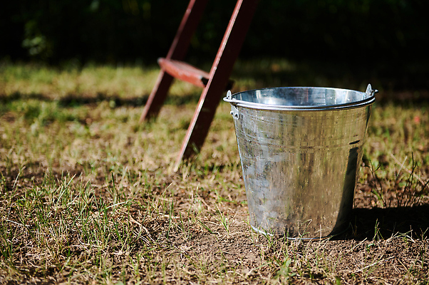 포토 JPG 해외이미지 나무 계절 농업 과일 건강 사람없음 야외 농장 농경지 계단 금속 정원 수확 성장 시골 신선 인스턴트 농부 과수원 수집 양동이 친환경 원예 뒤뜰 원예사 화창 카피스페이스 비건 아연 해외202309 해외포토 식물 직업 산업 음식 재질 날씨 취미 환경 공백 영양소 채식주의자 파일형식