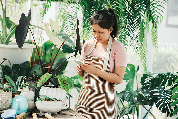 포토 JPG 해외이미지 식물 꽃 꽃다발 꽃무늬 인터넷 비즈니스 사업가 통신 노동자 한명 노트북 스마트폰 컴퓨터 판매 세일 환경 상점 놀이방 성장 업무 자신감 시장 어플리케이션 제조 농부 연결 꽃집 무선전화기 고객 집중 서비스 원예 질서 소매 온라인 주인 판매원 심기 온실 원예사 중소기업 해외202309 해외포토 직업 1 감정 컨셉 무늬 회사 모션 사람 취미 전자제품 핸드폰 스마트기기 예절 작업 전화기 파일형식