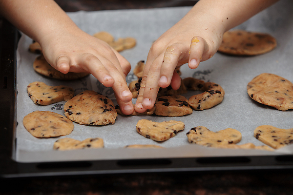 포토 JPG 해외이미지 모자 손 행복 어린이 음식 크리스마스 요리 소년 사람없음 쿠키 케이크 앞치마 빵집 굽기 준비 반죽 시트 얇은 페스츄리 해외202309 해외포토 잡화 기념일 남자 감정 빵 디저트 사람 신체부위 상점 구이 파일형식