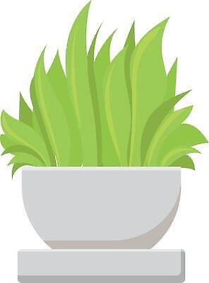 EPS 해외이미지 식물 디자인 공원 꽃 도로 백그라운드 잎 꽃무늬 일러스트 거리 주택 야외 장식 초록색 뷰티 정원 꽃병 봄 성장 벚꽃 조약돌 도시 개화 사발 보행로 냄비 큼 오솔길 원예 뒤뜰 그리너리 해외202309 해외일러스트 계절 공공시설 길 컬러 무늬 교통시설 취미 건물 돌_바위 사기그릇 솥 크기 파일형식 벡터 트랜드컬러