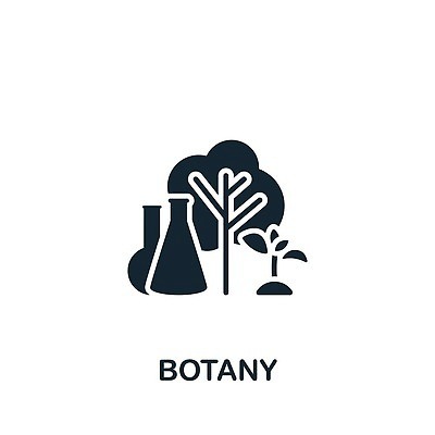 EPS 해외이미지 모양 나무 식물 손 디자인 꽃 실루엣 선 잎 꽃무늬 일러스트 자연 미술 목재 그래픽 초록색 여름 세트 픽토그램 새싹 환경 정원 봄 성장 벚꽃 나뭇가지 소나무 플랫 숲 심볼 에코 유기농 심플 윤곽 고립 돌봄 생태학 얇은 엘리먼트 벡터 미니멀 해외202309 해외일러스트 웰빙 계절 교육 컬러 무늬 재료 모션 문화예술 촬영기법 신체부위 생태계 파일형식