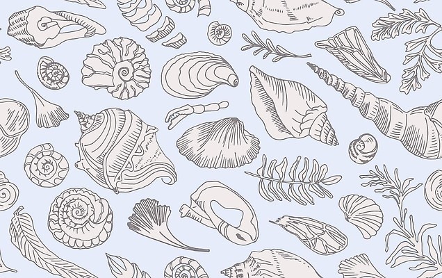 EPS 해외이미지 모양 식물 동물 디자인 실루엣 선 바다 과학 백그라운드 잎 패턴 일러스트 부분 조개 수채화 나선형 미술 세트 검은색 회색 수확 껍질 바위 흰색 수학 역사 만화 스케치 수집 문신 심볼 그림 박물관 달팽이 손그림 화석 선사시대 내추럴 고고학 고립 땅파기 앵무조개 옛날 벡터 해외202309 해외일러스트 교육 컬러 무늬 농업 교과목 문화예술 어패류 연체동물 촬영기법 돌_바위 파일형식