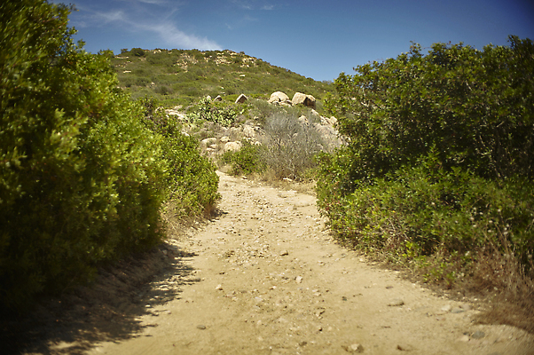 포토 JPG 해외이미지 나무 응시 공원 도로 길 지구 여행 자국 자동차 자연 하늘 산 건조 사람 사람없음 야외 빨간색 파란색 강 세트 세계 태양 골짜기 일몰 하이킹 운전 사막 구멍 언덕 좁은 먼지 루트 시온산 자동 전국 착륙 하이커 해외202309 해외포토 자연요소 식물 시선 공공시설 육상교통 컬러 교통시설 모션 레저 노을 생태계 파일형식