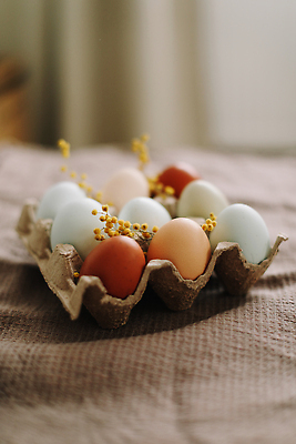 포토 JPG 해외이미지 전통 계절 행복 리본 분홍색 컨셉 탁자 휴가 디저트 기념 사랑 요리 사람없음 장식 파란색 컬러풀 케이크 얼음 축제 봄 나뭇가지 시골 신선 신용카드 달콤 4월 굽기 버드나무 심볼 부활절계란 내추럴 페스츄리 핸드메이드 카피스페이스 맛있는 해외202309 해외포토 자연요소 나무 감정 음식 빵 컬러 가구 부활절 금융 계란 공백 날짜 맛 구이 파일형식