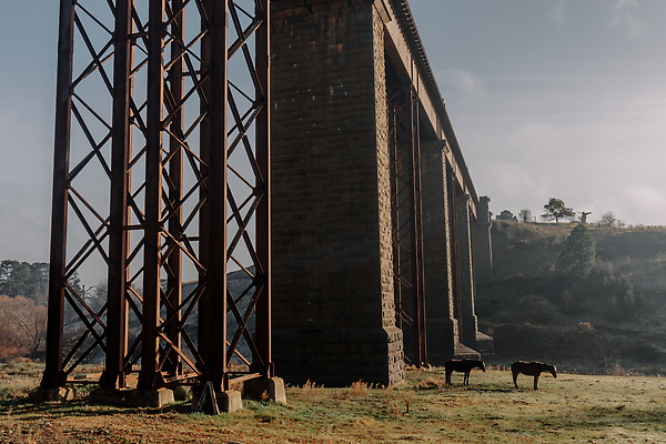 포토 JPG 해외이미지 상징 여행 건축양식 교통시설 아침 풍경 사람없음 건물 초록색 물 강 태양 반사 맑음 기차 추위 안개 바위 시골 호주 이슬 서리 공학 천연기념물 구름다리 랜드마크 해외202309 해외포토 주간 자연요소 건축물 교육 건축 육상교통 컬러 교통 날씨 대중교통 돌_바위 다리_건축물 오세아니아 시설 파일형식