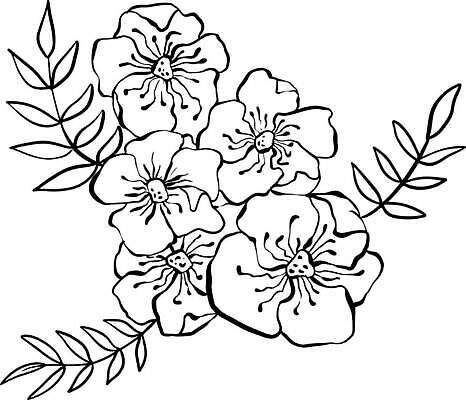 EPS 해외이미지 손 디자인 꽃잎 꽃 선 꽃다발 백그라운드 잎 꽃무늬 패턴 일러스트 추상 잉크 미술 성인 그래픽 장식 장미 검은색 벚꽃 흰색 나뭇가지 붓 화려 개화 낙서 스케치 그림 질감 고립 그런지 엘리먼트 타격 벡터 디테일 해외202309 해외일러스트 나무 식물 컬러 컨셉 무늬 모션 문화예술 사람 신체부위 파일형식