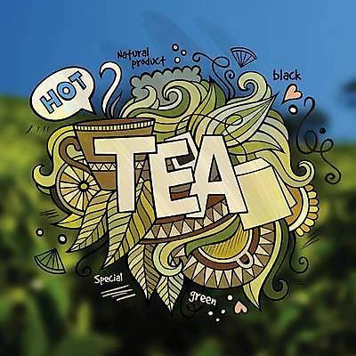 EPS 해외이미지 말풍선 잎 일러스트 사람없음 초록색 낙서 가득함 티백 레터링 해외202309 해외일러스트 식물 컬러 차_음료 파일형식 벡터