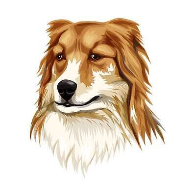 EPS 해외이미지 동물 라이프스타일 긴머리 손 실루엣 새끼 컬러 백그라운드 일러스트 포유류 자연 미술 성인 그래픽 반려동물 연필 갈색 검은색 우정 흰색 관찰 개 작음 스케치 자르기 심볼 그림 윤곽 솜털 송곳니 고립 기르기 단아함 신앙심 지능 벡터 순혈 해외202309 해외일러스트 헤어스타일 모션 문화예술 학용품 촬영기법 사람 생활 신체부위 친구 필기구 치아 크기 생태계 돌봄 파일형식