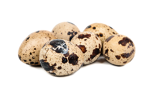 포토 JPG 해외이미지 동물 음식 백그라운드 다이어트 재료 자연 조류 부활절 건강 사람없음 갈색 계란 껍질 흰색 신선 점 얼룩 아침식사 상품 작음 먹기 오브젝트 유기농 날것 내추럴 고립 단백질 메추리 생식 식품점 해외202309 해외포토 웰빙 기념일 컬러 모션 상점 알 식사 크기 생태계 영양소 파일형식